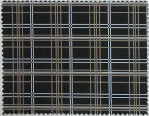 TL013A0011