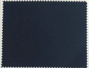 TL013A0019